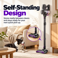 Lubluelu Flex 206 | Cordless Stick Vacuum Cleaner